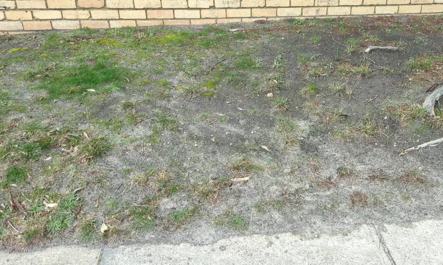 Your garden today