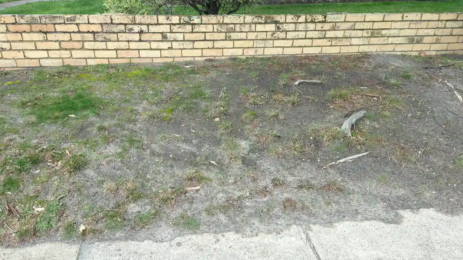 Your garden today